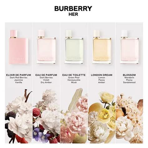 perfume that smells like burberry her|which burberry scents smells best.